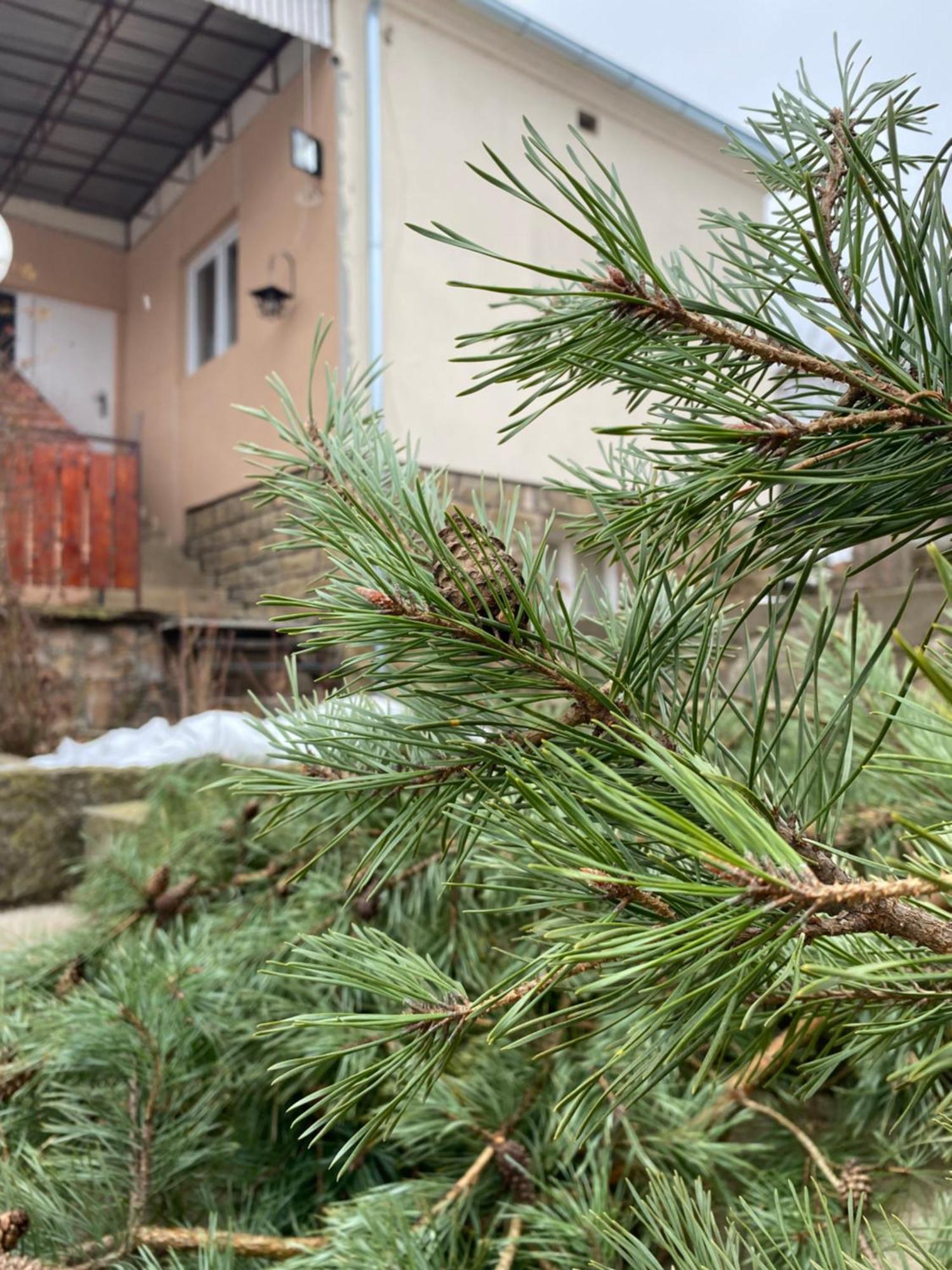 Appartement Seosko Turisticko Domacinstvo Stanisic à Kalna Extérieur photo